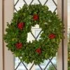 Traditional Holly Wreath