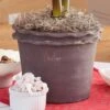 Double Piecrust Pot -Garden Bloomy Shop 23253