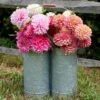 Galvanized Flower Caddy -Garden Bloomy Shop 28336