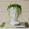 Senecio String Of Pearls In Persephone Ceramic Planter -Garden Bloomy Shop 29580