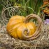 Entwined Vine Stone Pumpkin