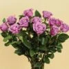 Purple Rose Bouquet - 12 Stems 2 Purple Rose Bouquet - 12 Stems -Garden Bloomy Shop 32421