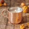 Thymes Simmered Cider Copper Cup Candle -Garden Bloomy Shop 33852