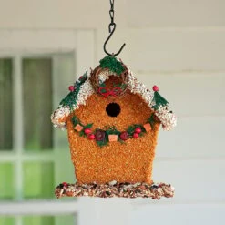 Birdhouse Bed & Breakfast