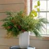 Evergreen Elegance Bouquet -Garden Bloomy Shop 34947