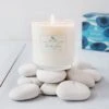 North Shore Soy Candle 2 North Shore Soy Candle -Garden Bloomy Shop 36732