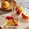 Apple Cider & Cinnamon Reed Diffuser -Garden Bloomy Shop 37645
