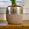 Touch Of Gold Cachepot 1 Touch Of Gold Cachepot -Garden Bloomy Shop 37744