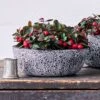 Wintergreen Dish Garden Kit In Chrysanthemum Bowl -Garden Bloomy Shop 37803