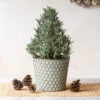 Lavender Tree In Honeycomb Metal Cachepot -Garden Bloomy Shop 38478