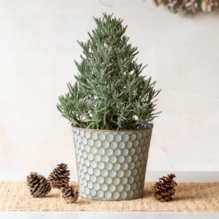Lavender Tree In Honeycomb Metal Cachepot