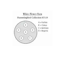 Hummingbird Annual Collection