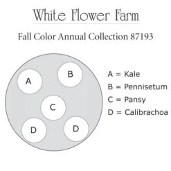 Fall Color Annual Collection