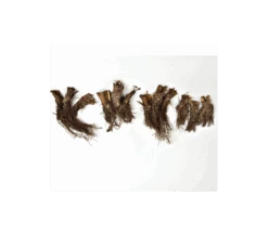 Wings Over Water Siberian Iris Collection -Garden Bloomy Shop x600 12689