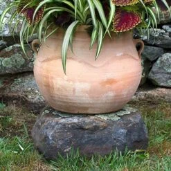 Cretan Pot Gozunta -Garden Bloomy Shop x600 13122