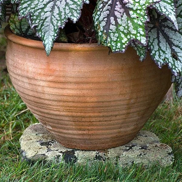 Cretan Pot Barrel Glastra 4 Cretan Pot Barrel Glastra - Image 2