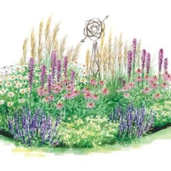 Tough As Nails Deer-Resistant Garden For Sun -Garden Bloomy Shop x600 14964