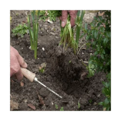 Precision Weeder 7 Precision Weeder -Garden Bloomy Shop x600 15131