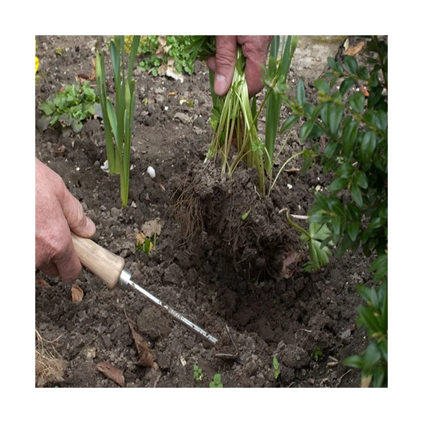 Precision Weeder 5 Precision Weeder - Image 3