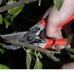 Premium Gardening Pruners -Garden Bloomy Shop x600 15705