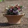Cretan Pot Ikaros -Garden Bloomy Shop x600 16154