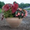 Cretan Pot Barrel Glastra -Garden Bloomy Shop x600 16157