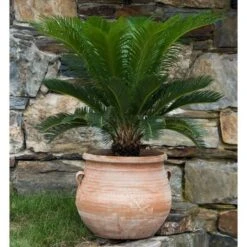 Cretan Pot Gozunta -Garden Bloomy Shop x600 17067