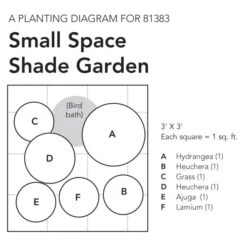 Small Space Shade Garden -Garden Bloomy Shop x600 18079