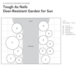 Tough As Nails Deer-Resistant Garden For Sun -Garden Bloomy Shop x600 18084