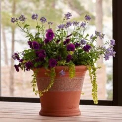 Sicilian Lemon Pot -Garden Bloomy Shop x600 18679