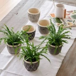 Togo Pots Trio 5 Togo Pots Trio -Garden Bloomy Shop x600 19236