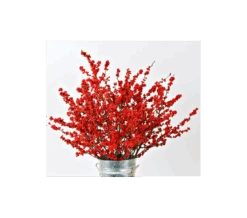Winterberry Stems (set Of 4 Stems) -Garden Bloomy Shop x600 1930