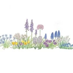 Colorful Carpet Mix 5 Colorful Carpet Mix -Garden Bloomy Shop x600 19639