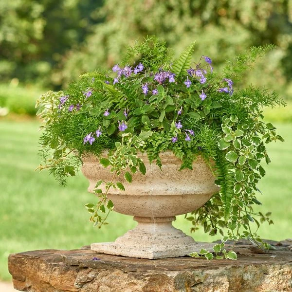 Milano Urn 4 Milano Urn - Image 2