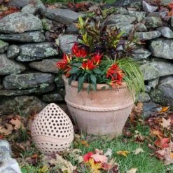 Cretan Candle Lantern -Garden Bloomy Shop x600 20645