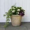 Milano Tapered Planter 2 Milano Tapered Planter -Garden Bloomy Shop x600 20769