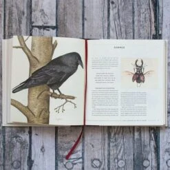 The Naturalist's Notebook -Garden Bloomy Shop x600 20927