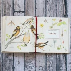 The Naturalist's Notebook -Garden Bloomy Shop x600 20928