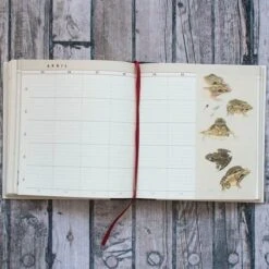 The Naturalist's Notebook -Garden Bloomy Shop x600 20930