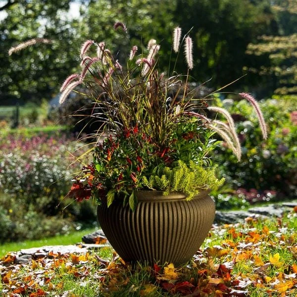 Season's Farewell Collection 4 Season's Farewell Collection - Image 2