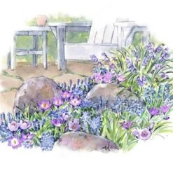 Pollinator Bulb Collection -Garden Bloomy Shop x600 22189