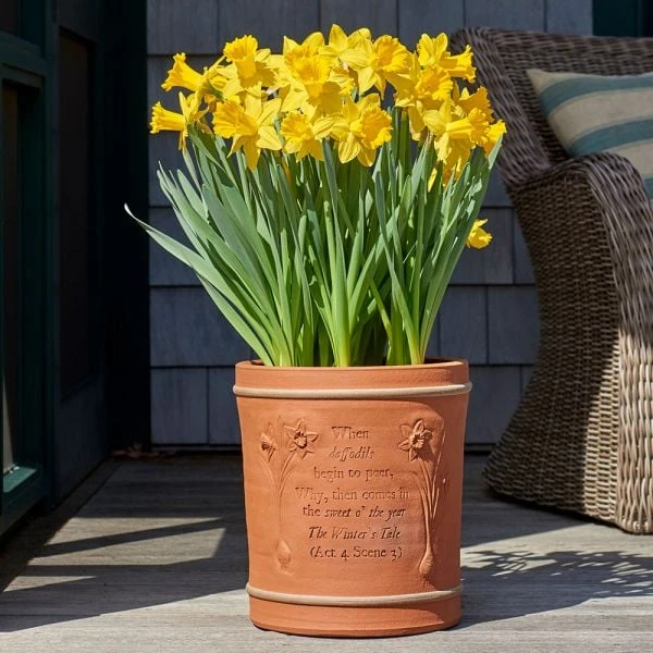 The Winter's Tale Pot 3 The Winter's Tale Pot