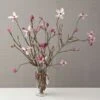 Tulip Magnolia Flowering Branches -Garden Bloomy Shop x600 22679