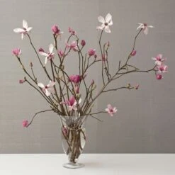 Tulip Magnolia Flowering Branches