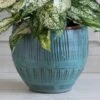 Neptune Cachepot -Garden Bloomy Shop x600 23040