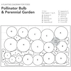 Pollinator Bulb & Perennial Garden -Garden Bloomy Shop x600 23754