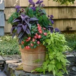 Cretan Pot Andreas -Garden Bloomy Shop x600 24141