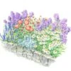 Sustained Splendor Rose & Perennial Garden -Garden Bloomy Shop x600 24623