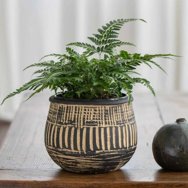 Pemba Cachepot 4 Pemba Cachepot - Image 2