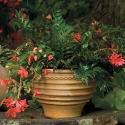 Cretan Pot Kioupi -Garden Bloomy Shop x600 25870